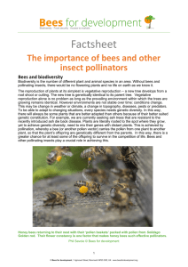 The importance of bees and other insect