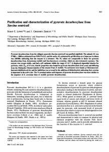 Purification and characterization of pyruvate decarboxylase from