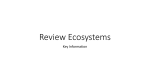 Review Ecosystems