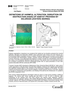 definitions of harmful alteration, disruption or destruction (hadd)