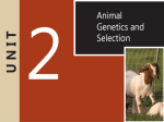 Unit 2-Animal Genetics and Selection