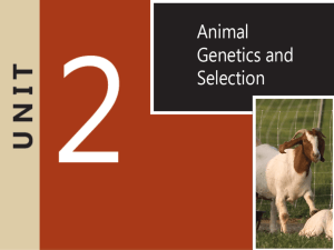 Unit 2-Animal Genetics and Selection