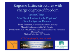 Kagome lattice structures with charge degrees of freedom