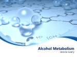 Alcohol Metabolism - Jessica Leary Nutrition Portfolio