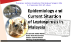 Epidemiology and Current Situation of Leptospirosis in Malaysia