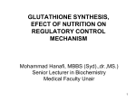 glutathione synthesis, efect of nutrition on it regulatory
