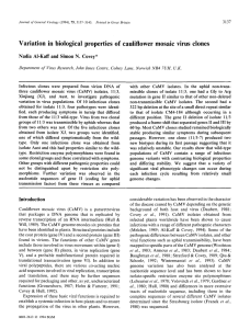 Variation in biological properties of cauliflower mosaic virus clones