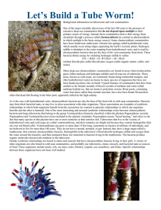 Let`s Build a Tube Worm