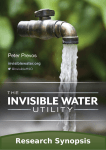 Dissertation Proposal - The Invisible Water Utility
