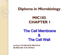 Cell Membrane