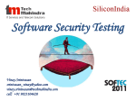 Software Security Testing