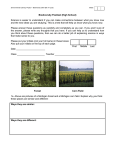 Biodiversity Pretest (High School)