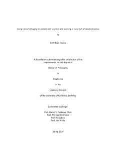 Using calcium imaging to understand function and learning in L2/3