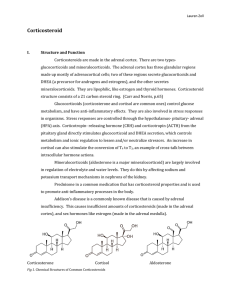 Corticosteroid