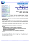 High Efficiency Transient Expression System for