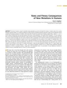 Rates and Fitness Consequences of New Mutations in