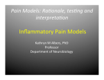 Inflammatory Pain Models
