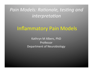 Inflammatory Pain Models