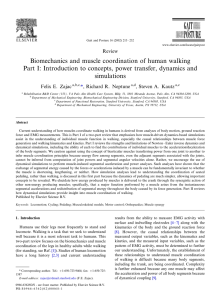 Biomechanics and muscle coordination of human walking Part I