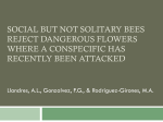 Social but not solitary bees reject dangerous flowers where a