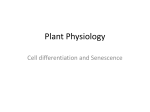 Lec-3 Cell differentiation, Senescence