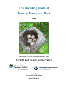 Breeding Birds 2014 - Tommy Thompson Park