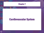 Cardiovascular System