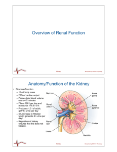 Overview of Renal Function Anatomy/Function of the Kidney