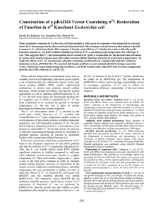 Construction of a pBAD24 Vector Containing σ32 : Restoration of