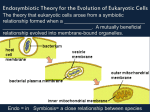 Endosymbiotic Theory for the Evolution of Eukaryotic Cells
