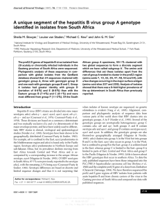 A unique segment of the hepatitis B virus group A genotype