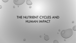 The Nutrient Cycles and Human Impact