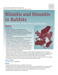 Rhinitis and Sinusitis in Rabbits