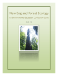 New England Forest Ecology