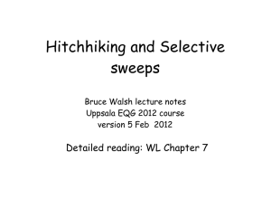 Hitchhiking and Selective sweeps