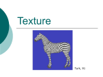 Texture - CS