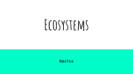 Ecosystems PowerPoint #2
