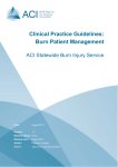 Clinical Practice Guidelines: Burn Patient Management