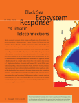 Ecosystem Response