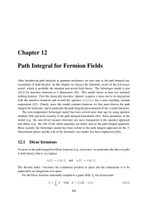 Chapter 12 Path Integral for Fermion Fields