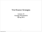 Viral Evasion Strategies