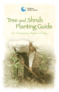 Tree and Shrub Planting Guide