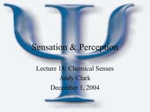 Slides from Lecture 12/01/2004 (Andy Clark)