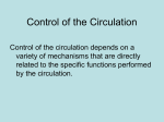 Chapter 17 - Local Circulation Control