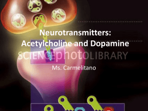 Neurotransmitters: Acetylcholine and Dopamine