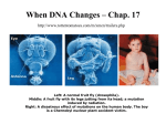 When DNA Changes – Chap. 17