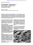 Fuchsinophilic degeneration of myocardium in patients - Heart