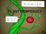PLANT GROWTH REGULATION AND RESPONSE