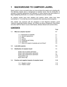 1 BACKGROUND TO CAMPHOR LAUREL