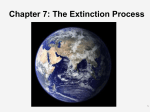 Chapter 7: The Extinction Process